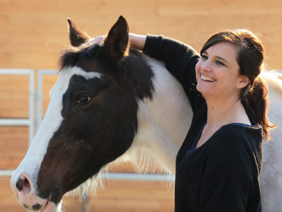 Team Building Equi-coaching dans les Yvelines (78)