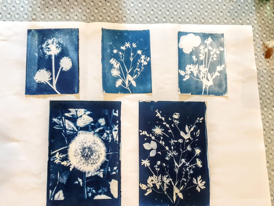 Atelier découverte Cyanotype à Paris 20ème