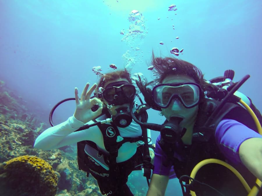 Journée en catamaran plongée et dauphins aux Anses-d'Arlet (972)