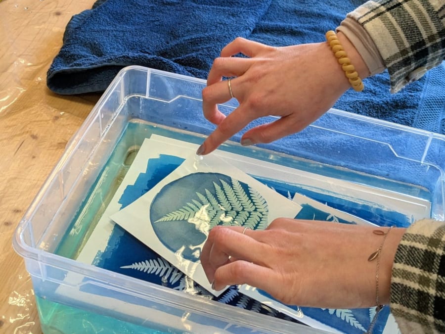 Taller de iniciación a la cianotipia en el distrito 6 de Lyon