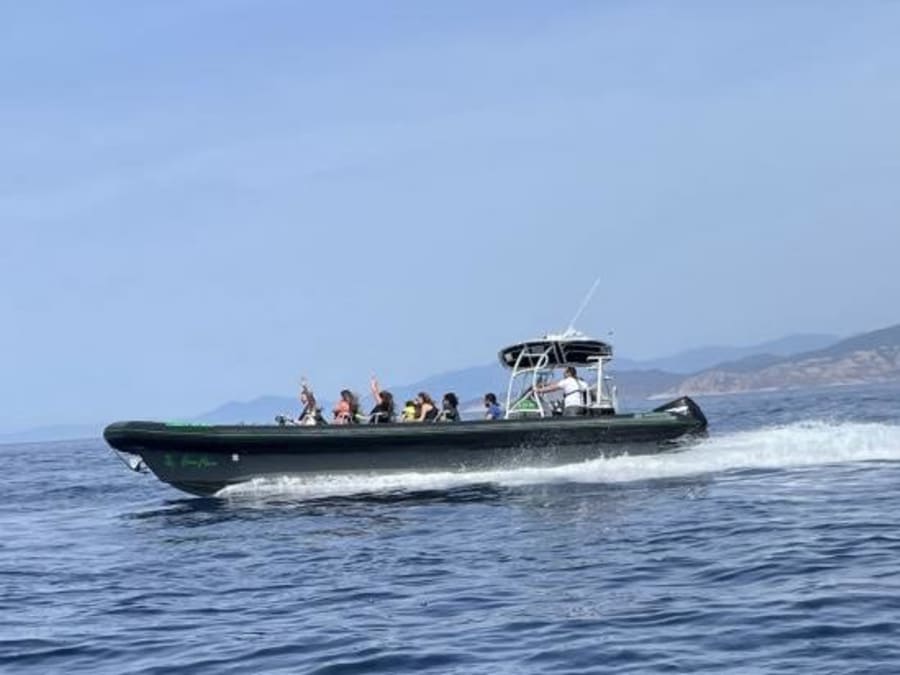 Promenade "Le Grand Giru" en semi-rigide depuis Calvi