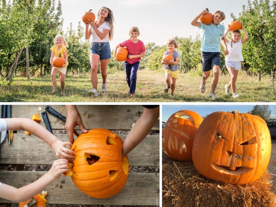 Escultura de calabaza de Halloween en la Granja Viltain (78)
