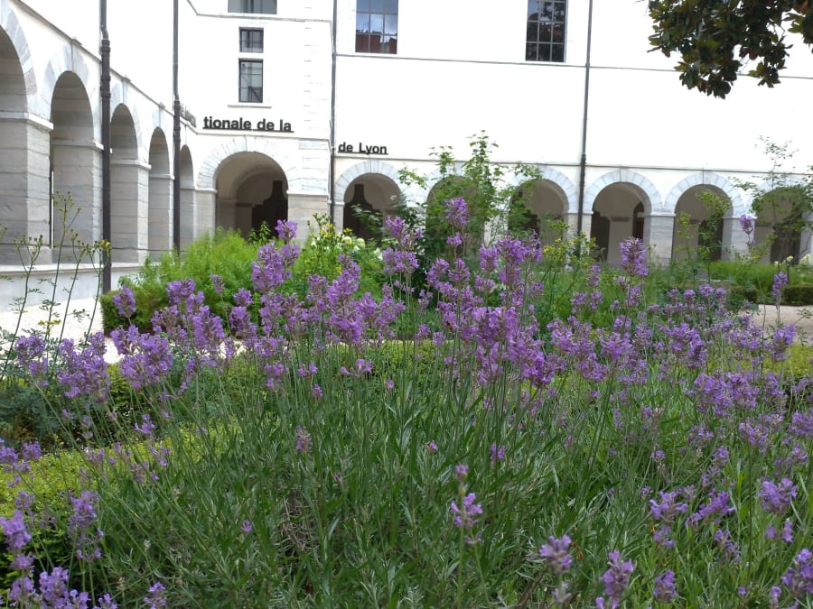 Escape Game de l'Hôtel Dieu à Lyon (69)