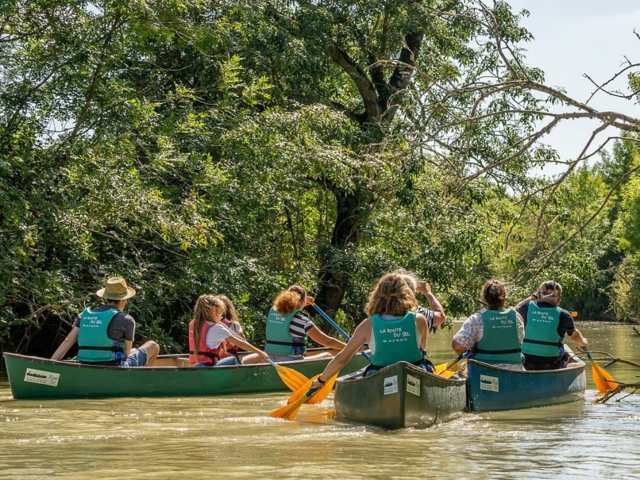 Excursión guiada en canoa en Sallertaine (85)