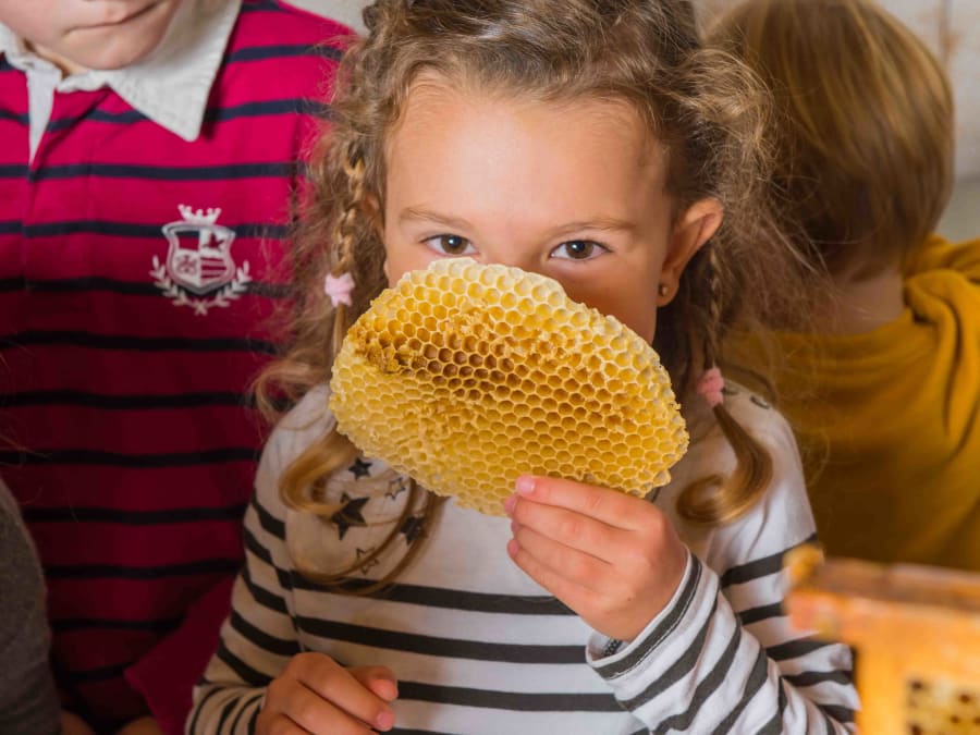 Fête du goût at the Ferme Ouverte in Sartrouville