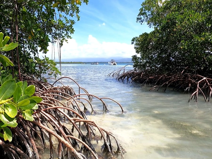 Croisière côtiere avec skipper depuis Port-Louis (97)