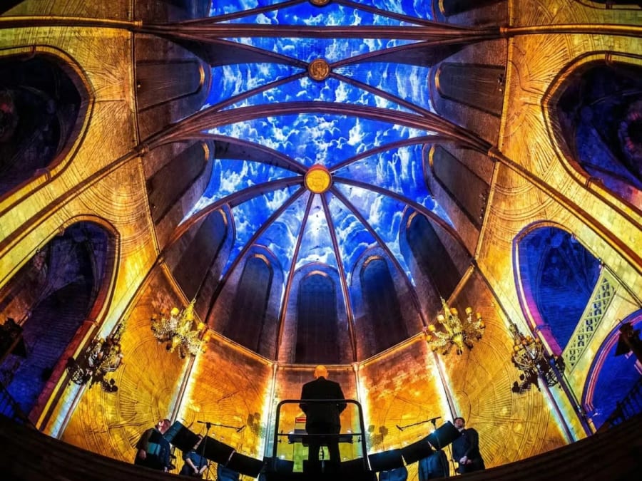 Billet d'entrée pour Luminiscence à Barcelone