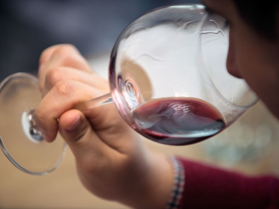 Cours d'œnologie "Initiation à la dégustation de vin" à Angers