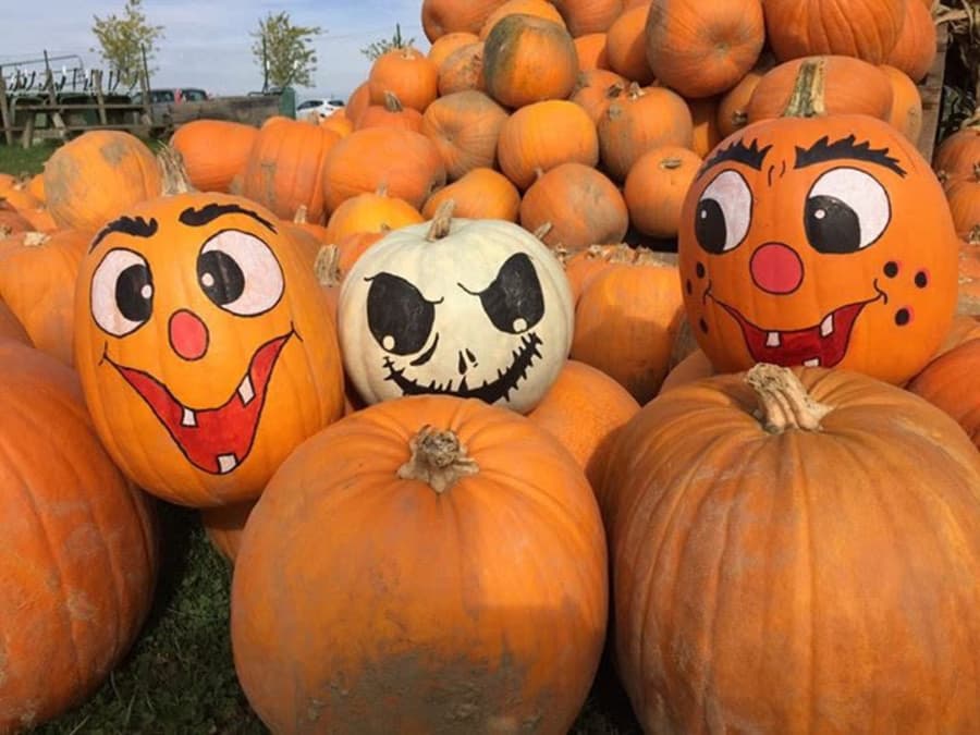 Atelier citrouille d'Halloween à la Cueillette de Seclin (59)