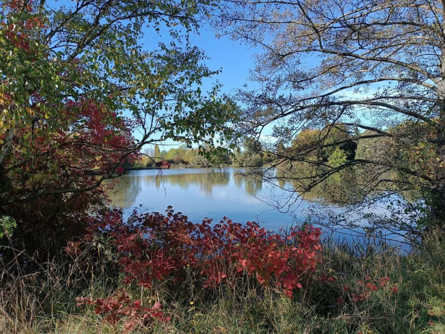 Entrada para el Arboreto de Versalles-Chèvreloup (78)