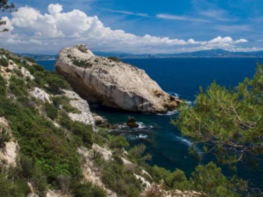 Croisière baignade Parc National des Calanques en demi-journée