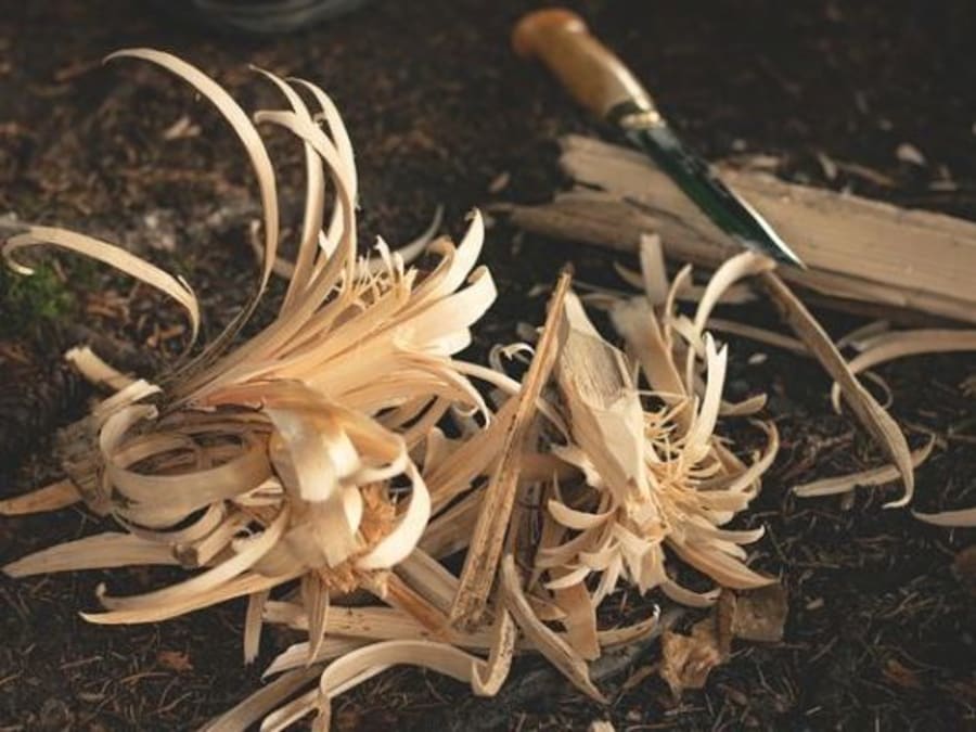 4-day survival course in Saint-Brieuc (22)