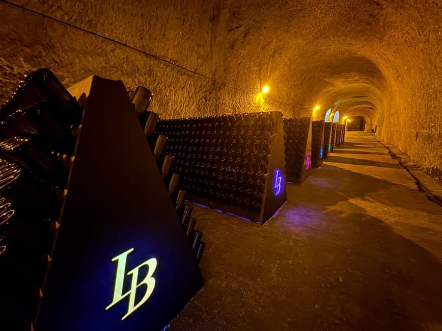 Visite & dégustation de 2 Champagnes à Châlons-en-Champagne