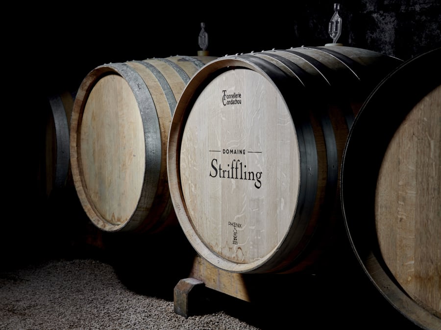 Atelier d'initiation à la dégustation à Régnié-Durette (69)