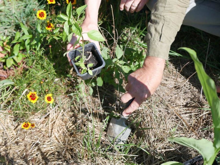 Découverte de la permaculture au Fossat (09)