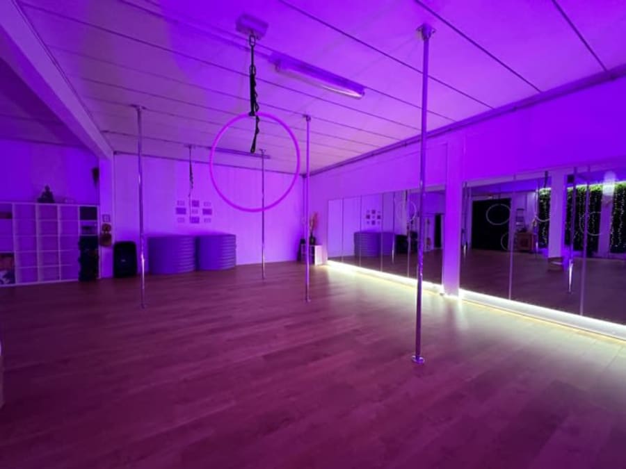 Cours de pôle dance spécial EVJF à Domont