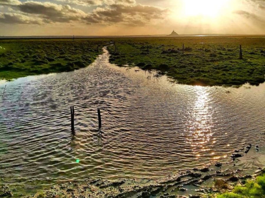 Visite guidée en vélo électrique & dégustation à Beauvoir (50)