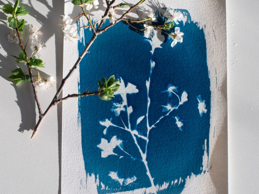 Atelier Cyanotype à Saint-Denis (93)