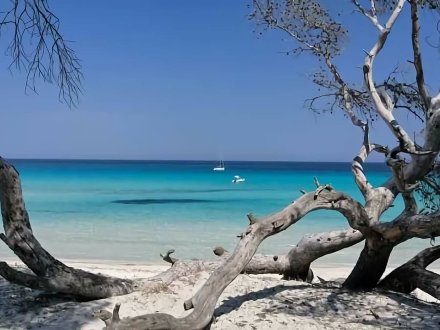 Excursion en 4x4 "Sur la piste des crêtes" au départ de Balagne