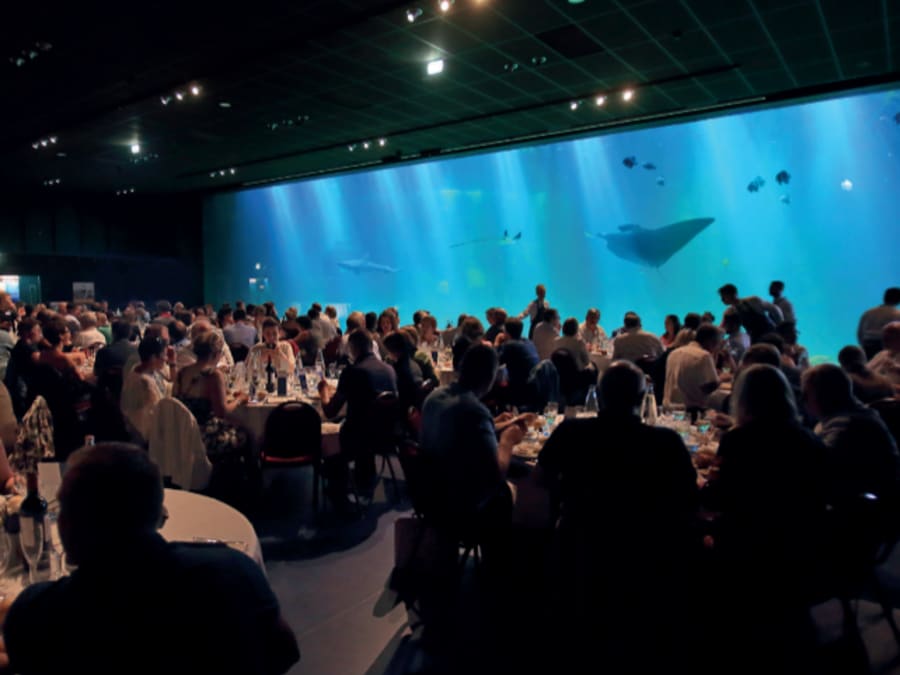 Vivez comme un poisson dans l'eau à Nausicaa (62)