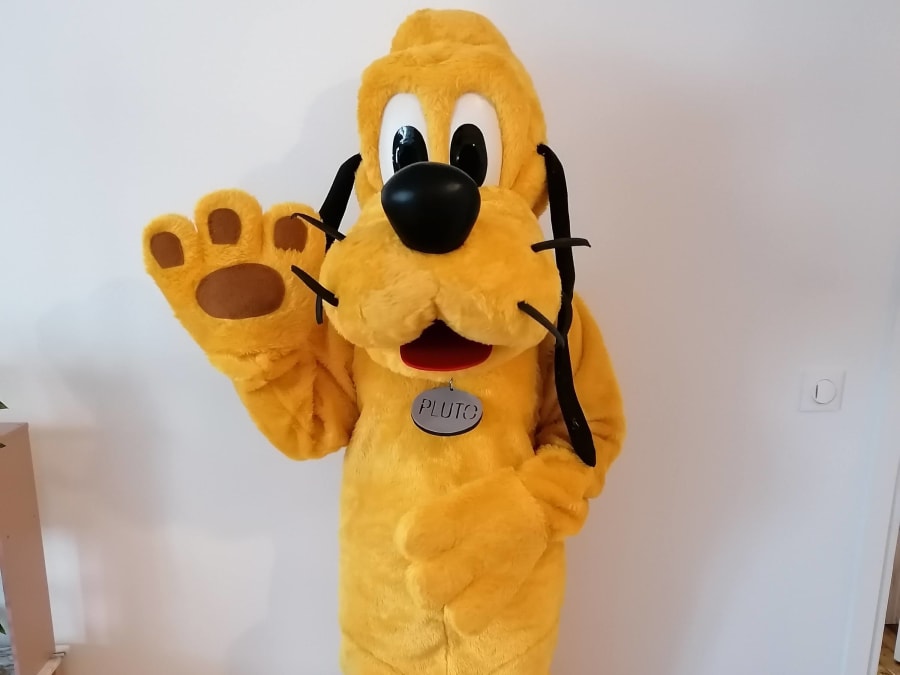 Intervention de Mascotte Mickey et ses amis en Ile-de-France