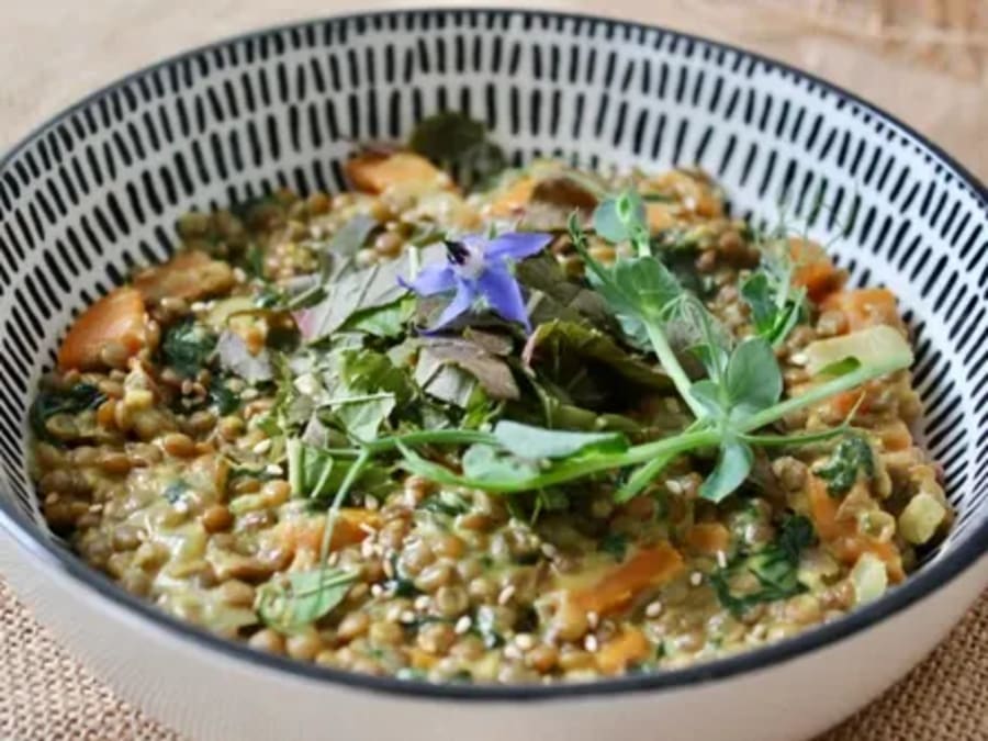 Plant protein discovery workshop in Toulouse (31)