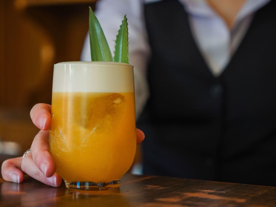 Atelier cocktail et mixologie spécial EVG/EVJF à domicile (59)