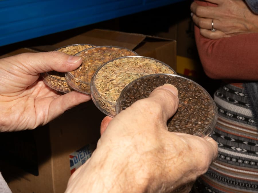 Taller de elaboración de cerveza en Perigny (17)