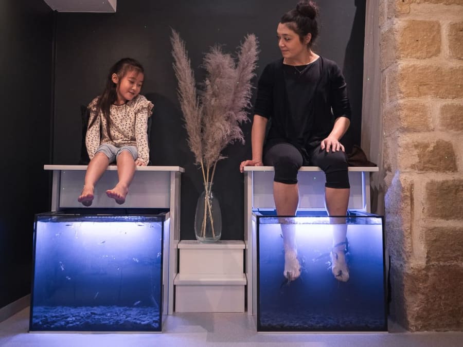 Fish SPA à Paris 2ème