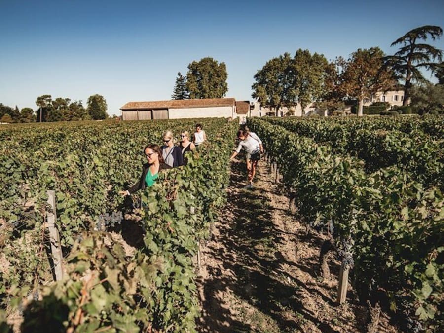 Un día de cata de vinos y visitas a Saint-Émilion