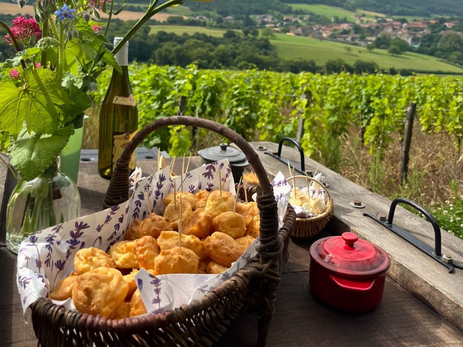 Visites & dégustation de vins au Domaine Debreuille (71)