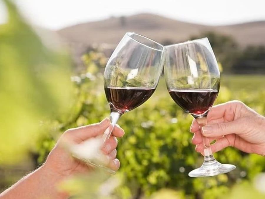 Randonnée en quad L'a"vin"turier près de Montpellier (34)