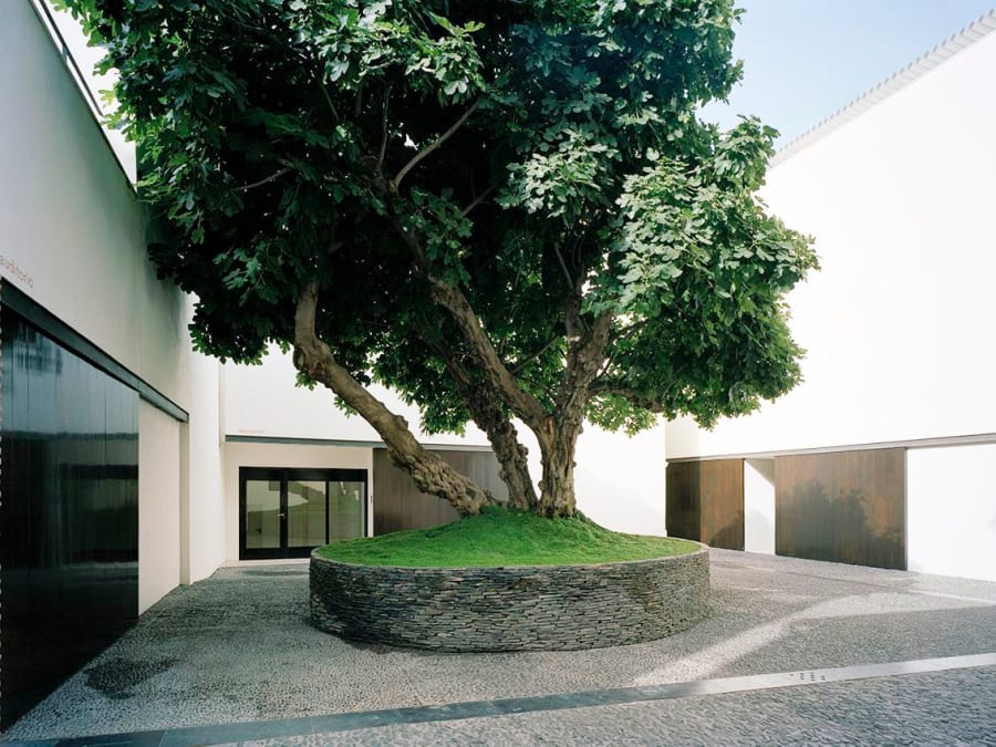 Billet et visite guidée du Musée Picasso à Malaga