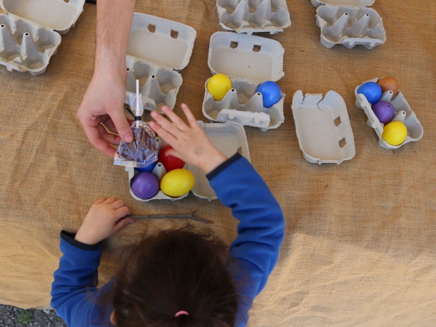 Chasse aux Oeufs à la Bergerie Nationale de Rambouillet (78)