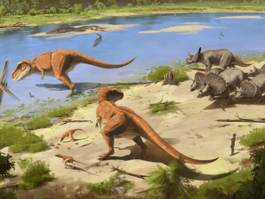 Billet pour l'expérience de VR "Mondes disparus" à Paris