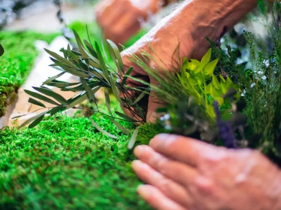 Atelier tableau végétal à Saint-Genis-Laval (69)