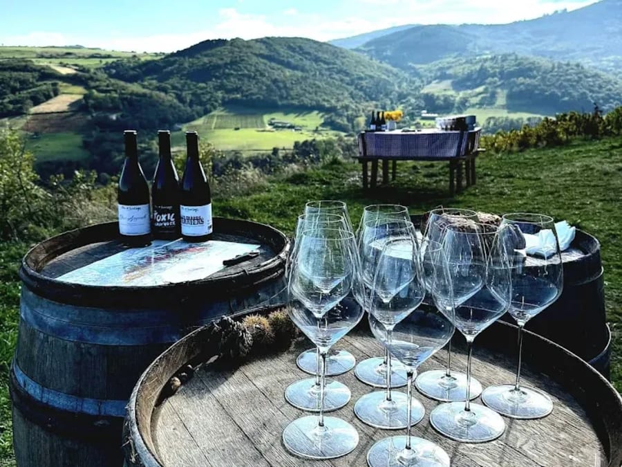 Visite d'un vignoble et dégustation de vins à Montmelas (69)