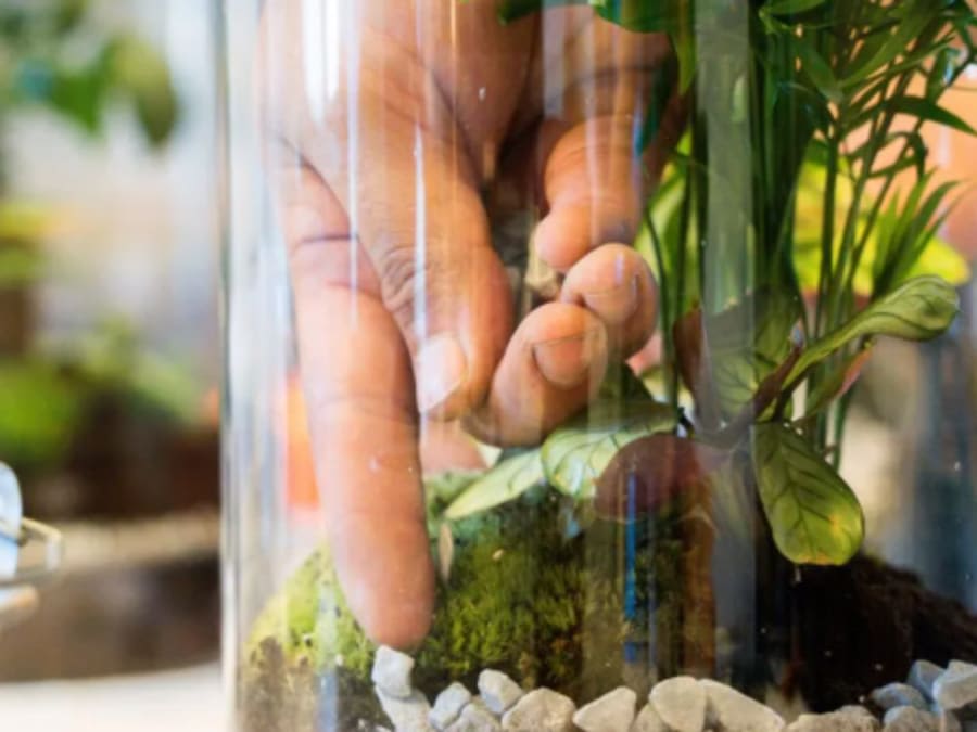 Team Building Atelier Terrarium à Saint-Sorlin-en-Valloire (26)