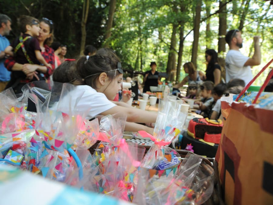 Anniversaire Accrobranche à Marquixanes (66) en plein air!