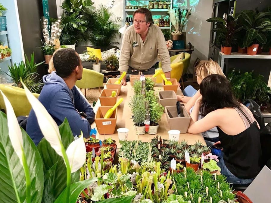 Mantenimiento de las herramientas eléctricas de jardín, Truffaut