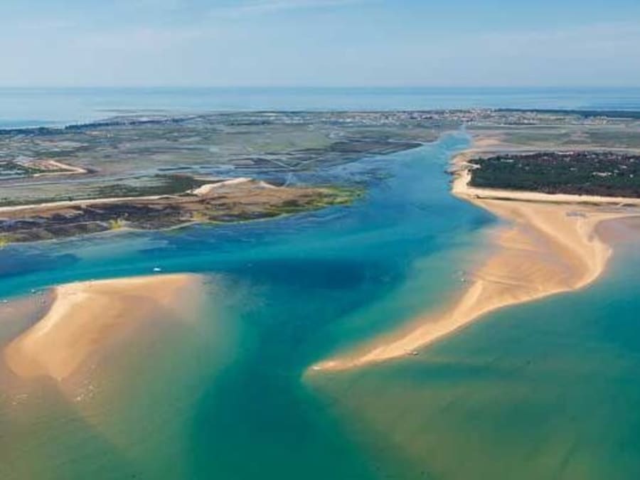 Journée croisière en Catamaran à La Faute-sur-Mer (85)