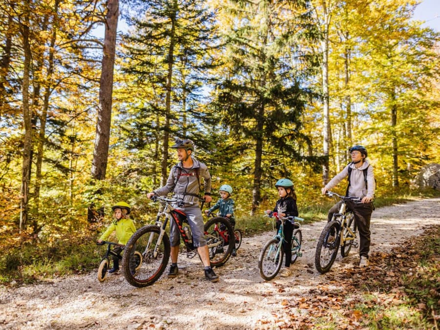 Balade Guidée À Vtt Électriques Près De Grenoble (38)