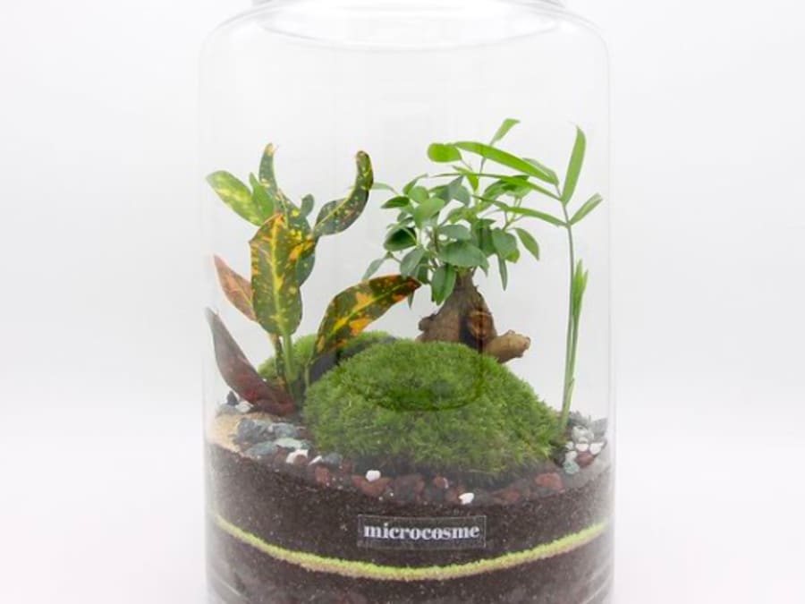 Team Building Art Floral à Chambéry (73)