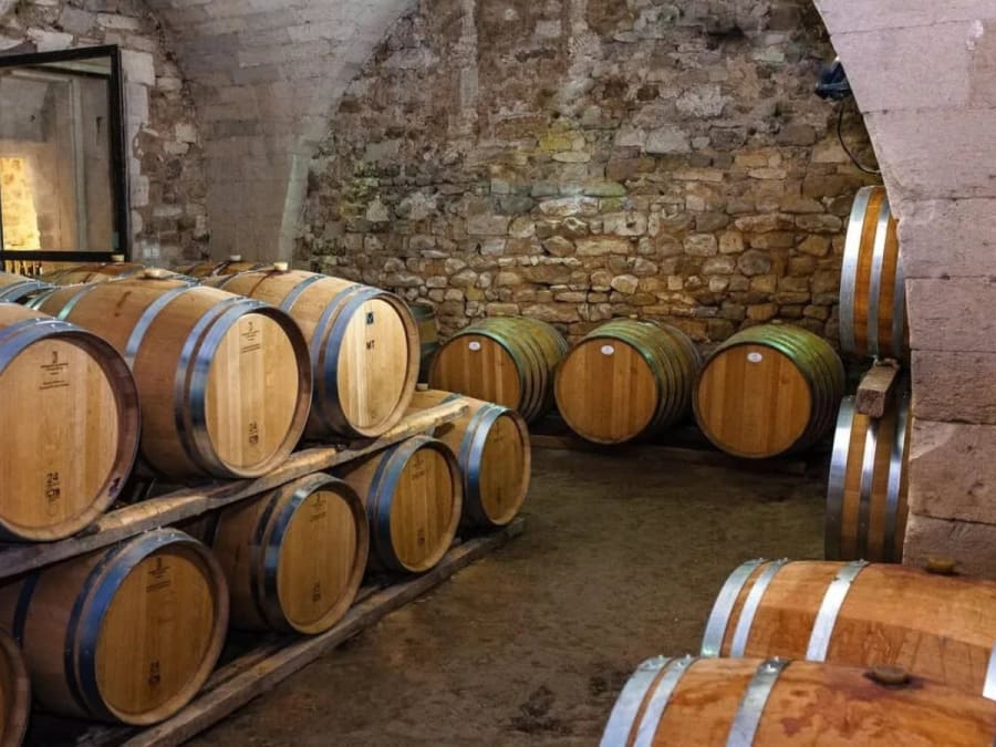 Visita a la bodega y cata privada en Saint-Christol (34)