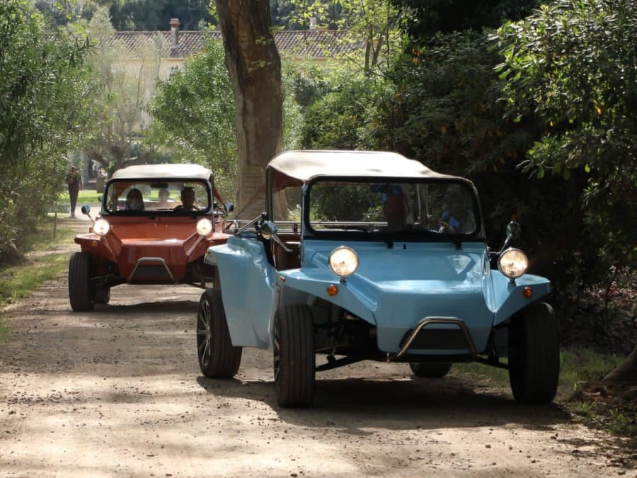 Randonnée en Buggy vintage à Cannes (06)