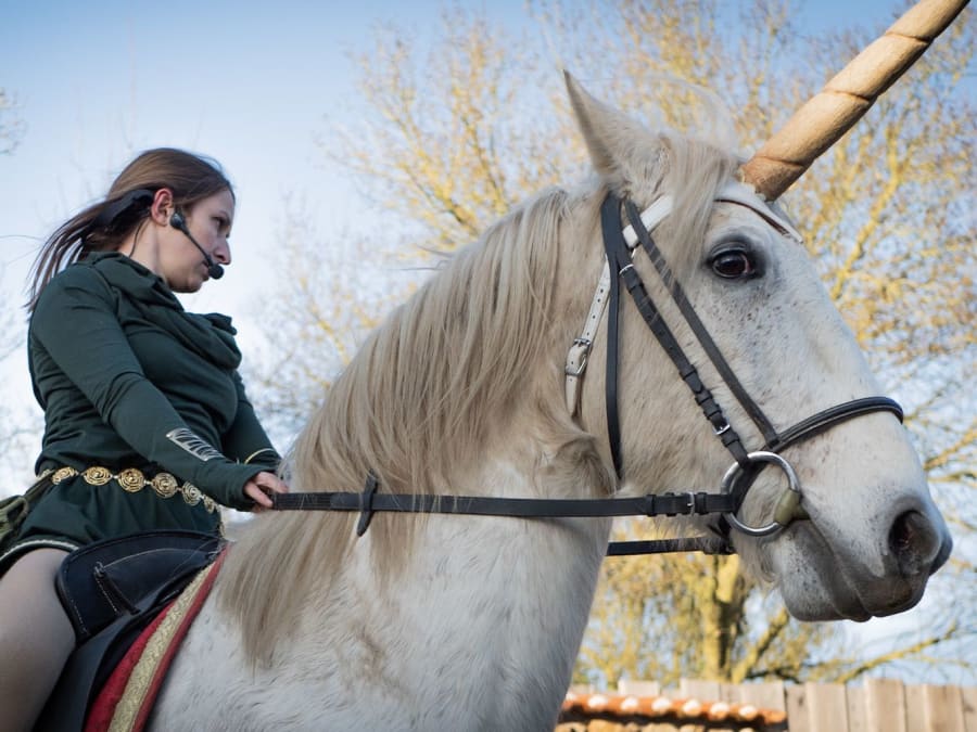 Billet pour Legendia Parc (44)