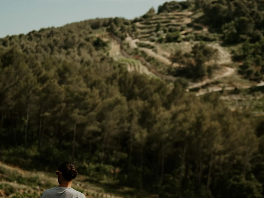 Visite & dégustation de vins et fromage à Meyreuil (13)