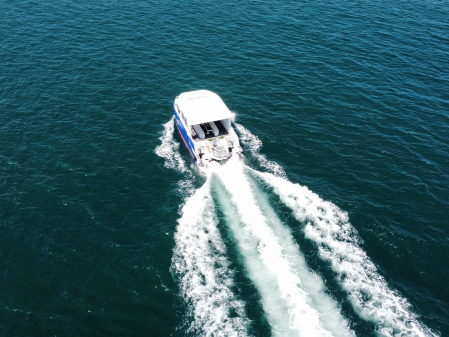 Sea trip to discover the Bay of Saint Malo (35)