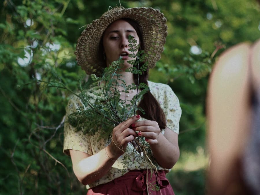 Gathering wild plants in the Bois de Vincennes (94)