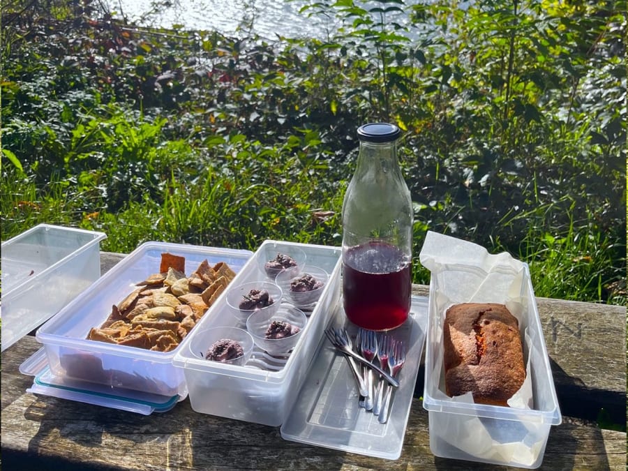 Introducción a las plantas silvestres en Chambray-lès-Tours (37)